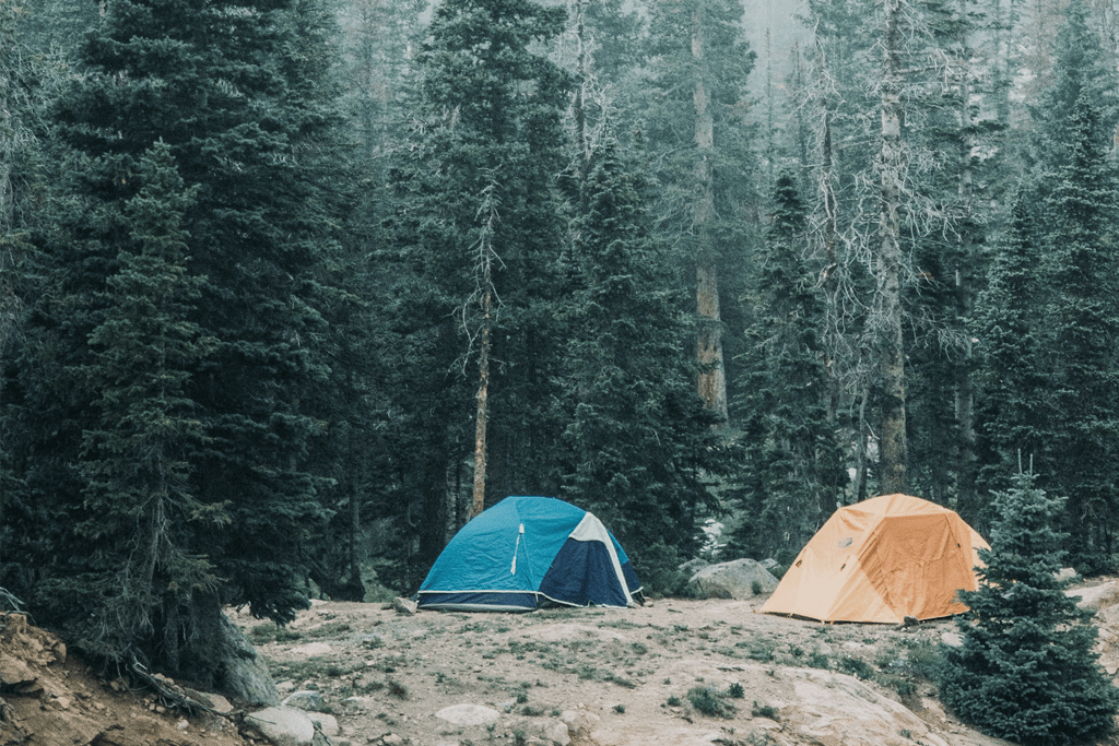 Why Choose Quality Over Quantity Out&Back vs. Amazon Prime Out&Back