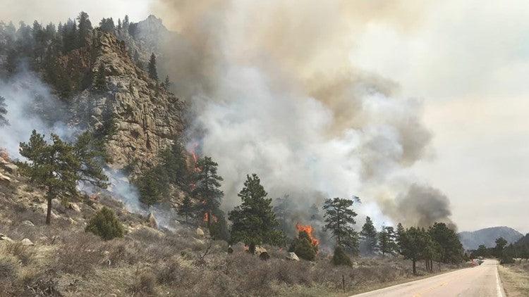 The 411 on Forest Fire Smoke