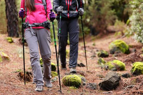 5 Essentials for Day Hikes