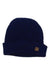 Sunday Afternoons Overtime Beanie Sunday Afternoons