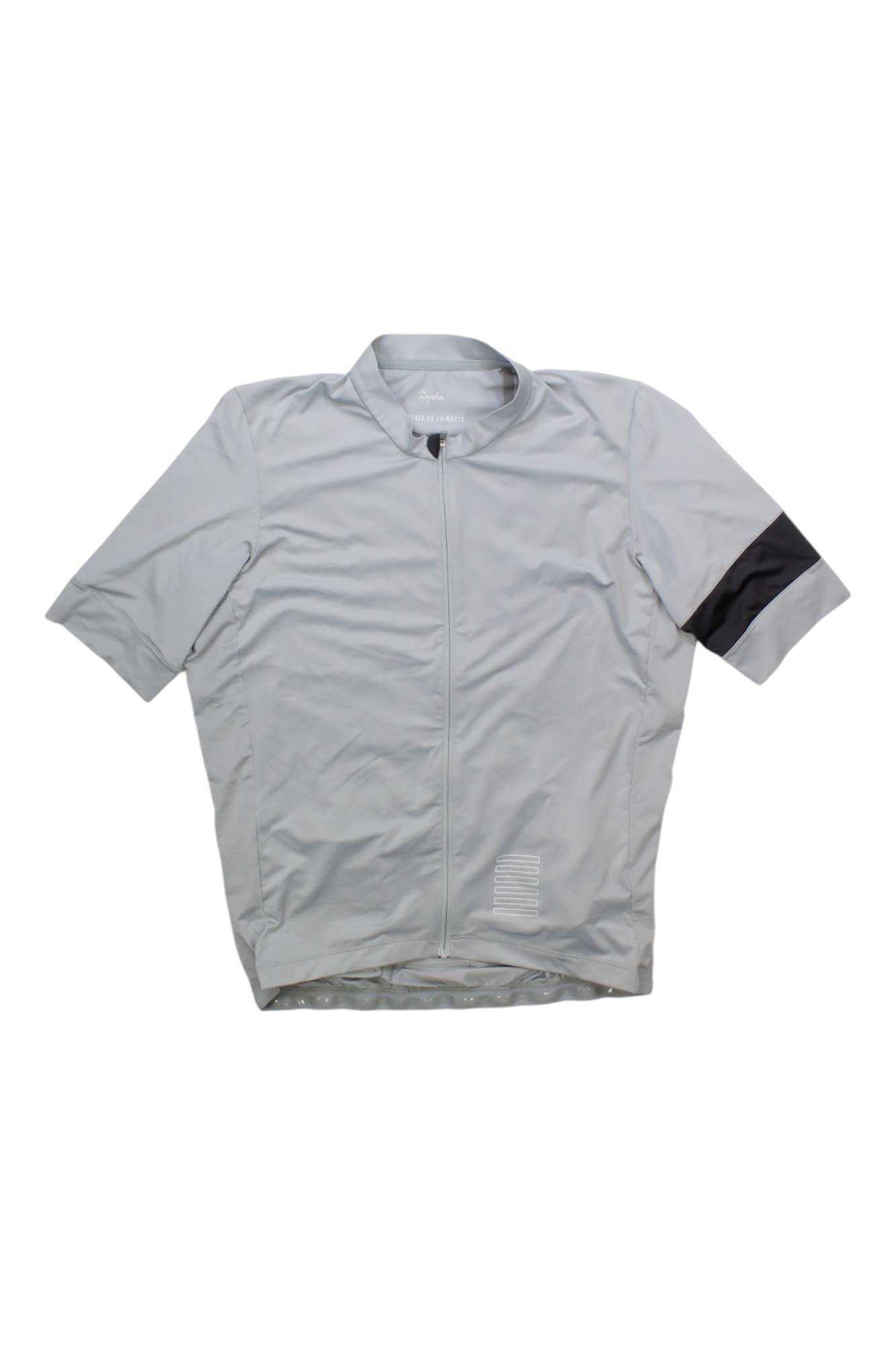 Light gray Pro Team Training Jersey II with a front zipper and single black stripe on the left sleeve, displayed flat on white—a lightweight, high-performance cycling jersey for dedicated riders.