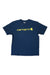Carhartt Mens Loose Fit Heavyweight Short Sleeve Logo Graphic T-Shirt Carhartt