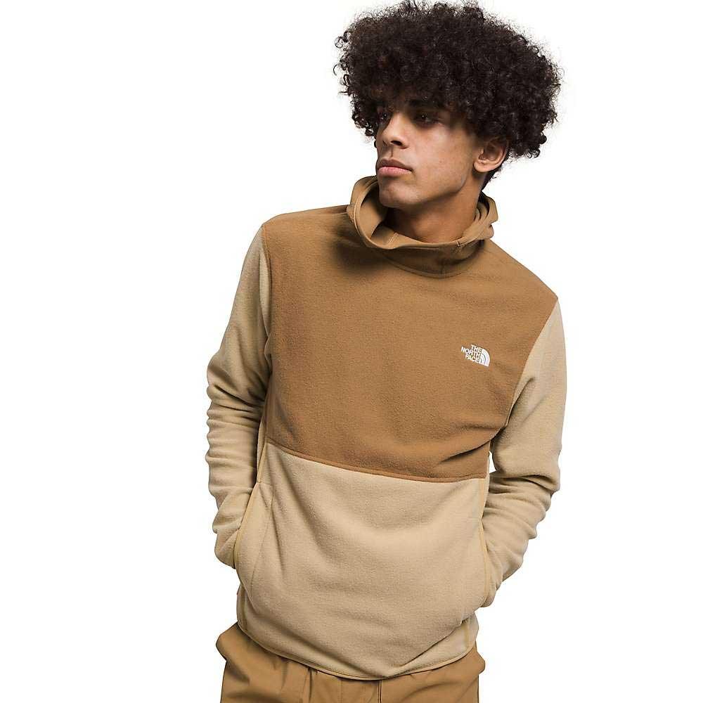 The North Face Mens Alpine Polartec 100 Pullover The North Face