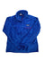 Women's Re-Tool Snap-T Pullover Patagonia