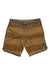 Jetty Men's Mollusk Boardshort Jetty