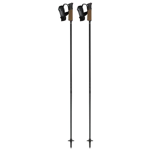 Fischer ski poles, black with gray grips and wrist straps, carbide tips