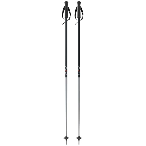 Pair of ski poles with black handles, light gray shafts, and pointed tips