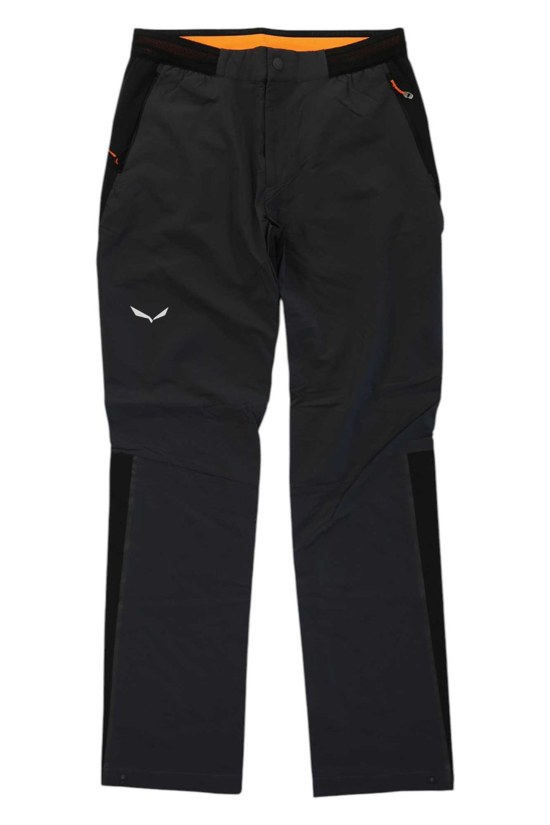 Salewa Mens Pedroc 4 DST Reg Pant