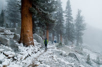 people trekking through snowy mountain trail