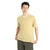 Icebreaker Men's Dawnder SS Stripe Tee Icebreaker