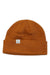 Coal The FLT Beanie Coal