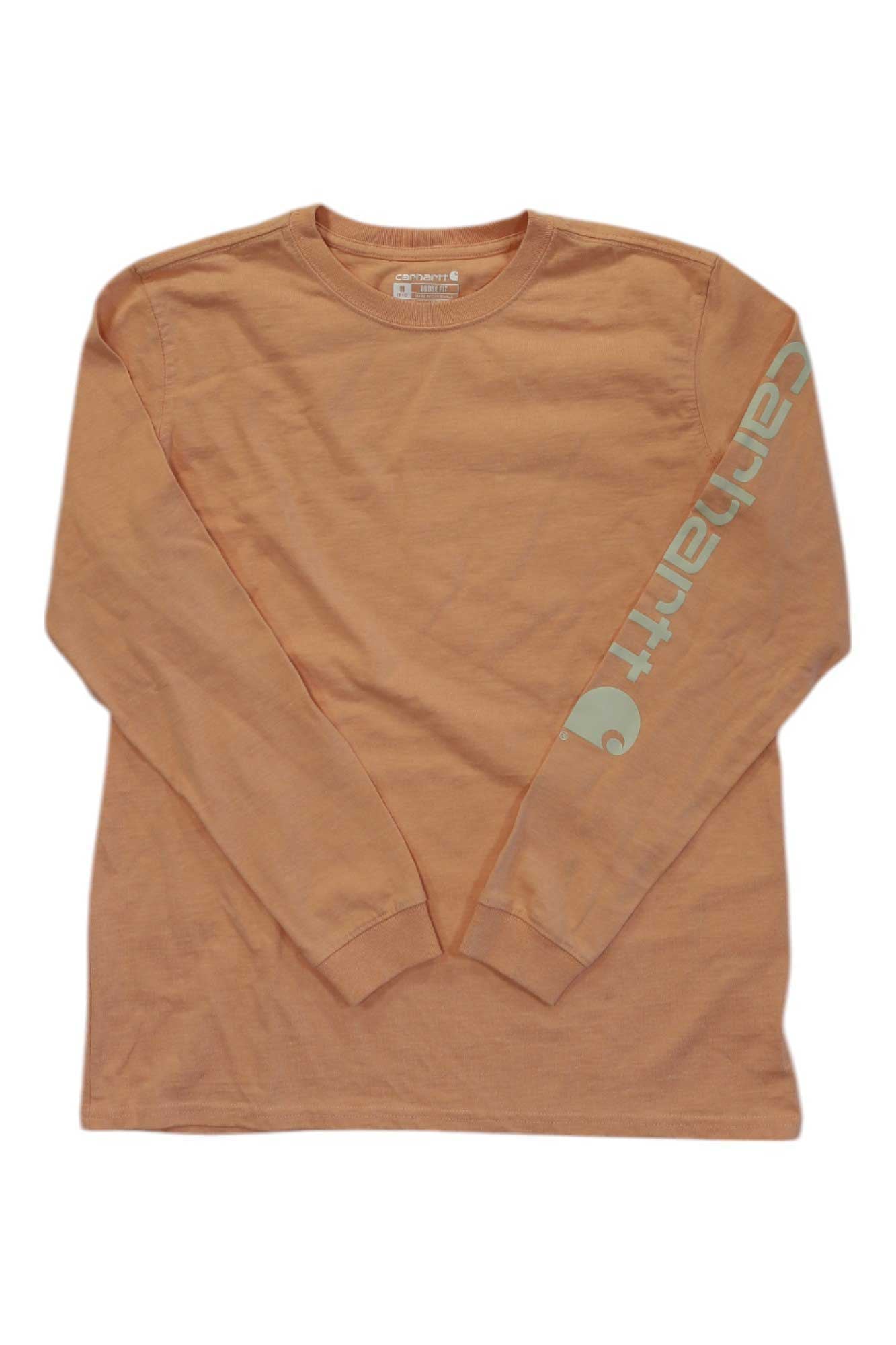 Carhartt Mens Loose Fit Heavyweight LS Outlast Graphic T-Shirt Carhartt
