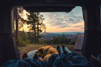 A couple and a dog lying down at a campsite