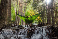 A couple sitting in a hammock