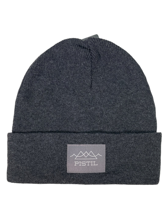 Pistil Men's Morris Beanie
