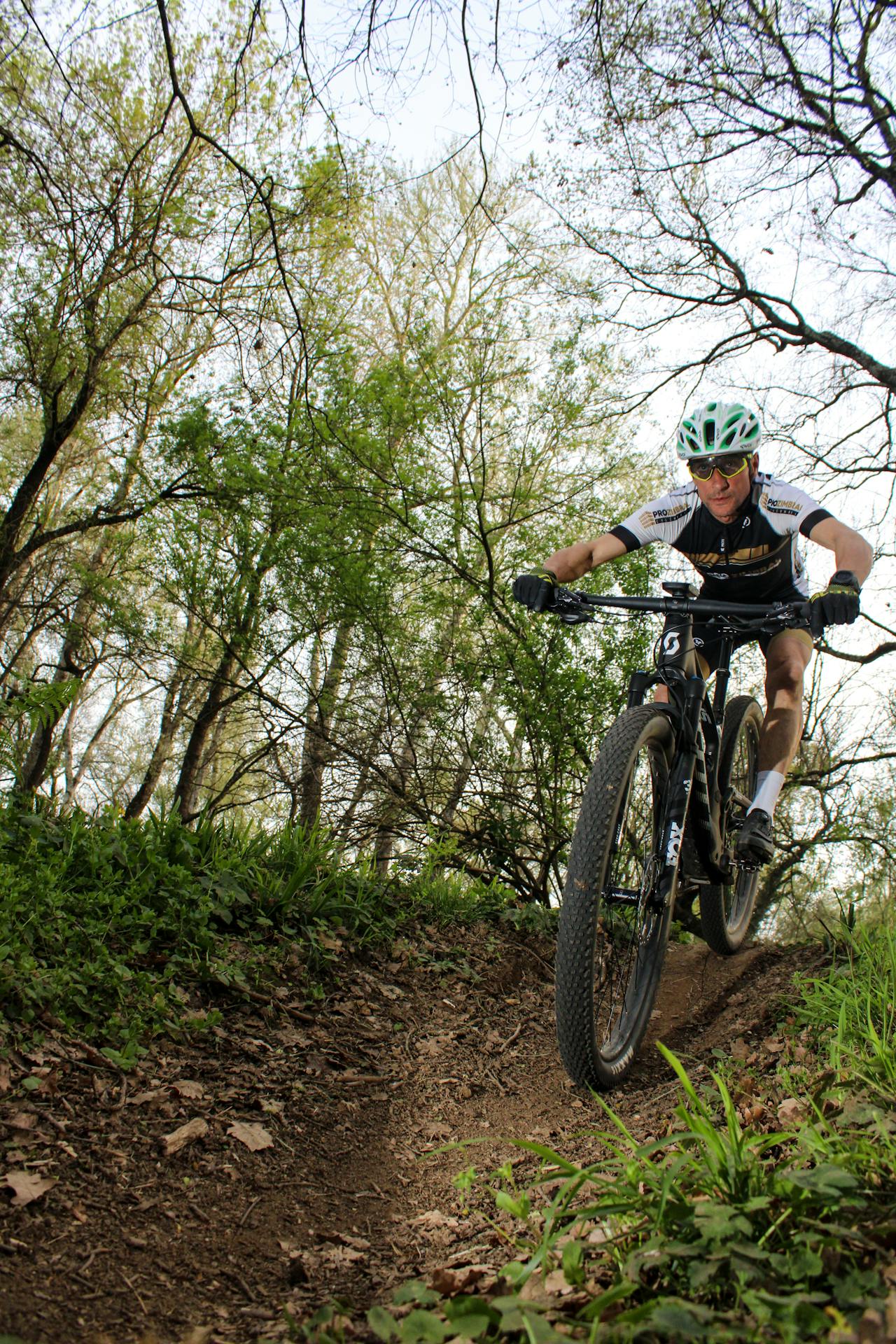 A person on a downhill mountain bike in the forest
