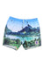 Roark Men's Hinano Shorey 16 Inch Sun God Boardshort Roark