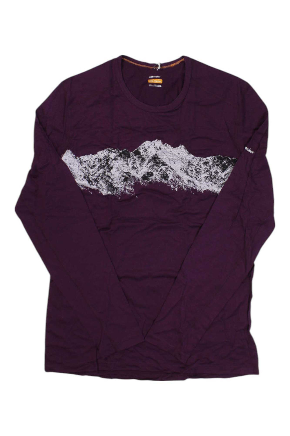 Icebreaker Mens Merino 200 Oasis Remarkables LS Crewe Icebreaker