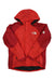 The North Face Mens 3-in-1 VTG Jacket - Shell Only The North Face