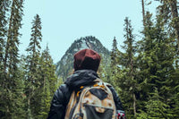 A hiker looking at a mountain