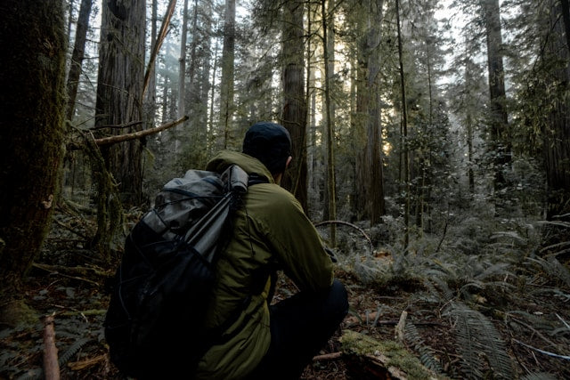 man hiking through the forest wearing a hiking backpack