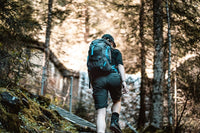 man hiking on a trail