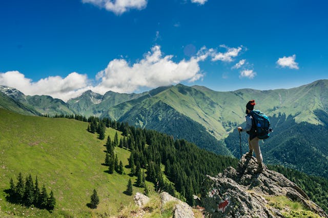 man standing on a rock near a mountain range