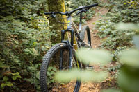 mountain bike on a trail in the woods