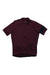 The Pro Team Training Jersey II is a lightweight short-sleeve maroon cycling jersey with a black left sleeve stripe, front zipper, and high collar, shown laid flat on a white background.