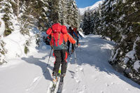 Three cross-country skiers