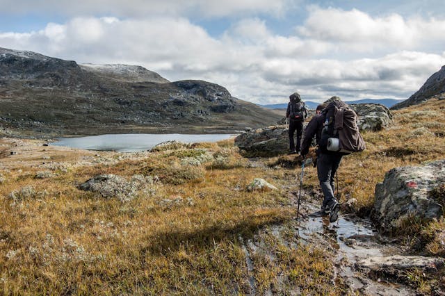 Two hikers in the wilderness