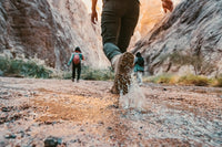 three women walking through a creek