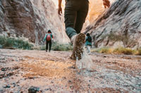 Hikers walking through a canyon